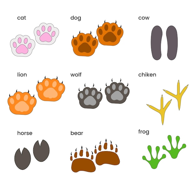 Vector set of different colored paws of animals vector illustration