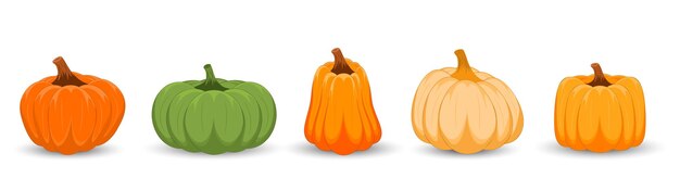 Set di zucche di diversi colori su sfondo bianco felice giorno del ringraziamento halloween con zucche