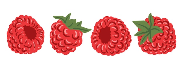 Set different composition of raspberries Raspberry Raspberry berry collection cartoon illustration