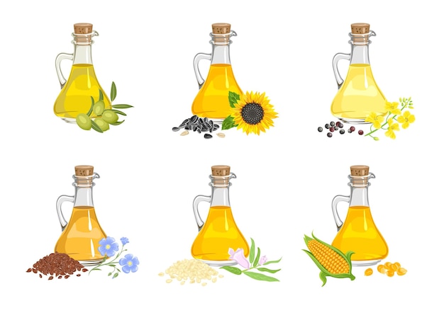 Set of different cooking oils in glass bottles