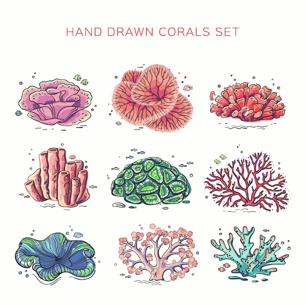 Vector set of different corals on white