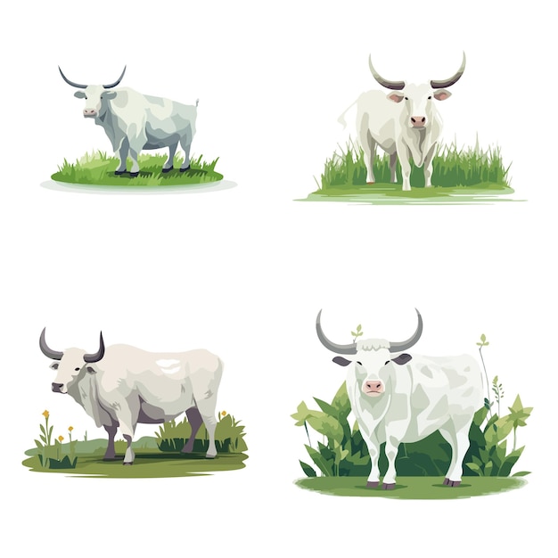 Set of different cow and ox cartoon vector element for eid al adha