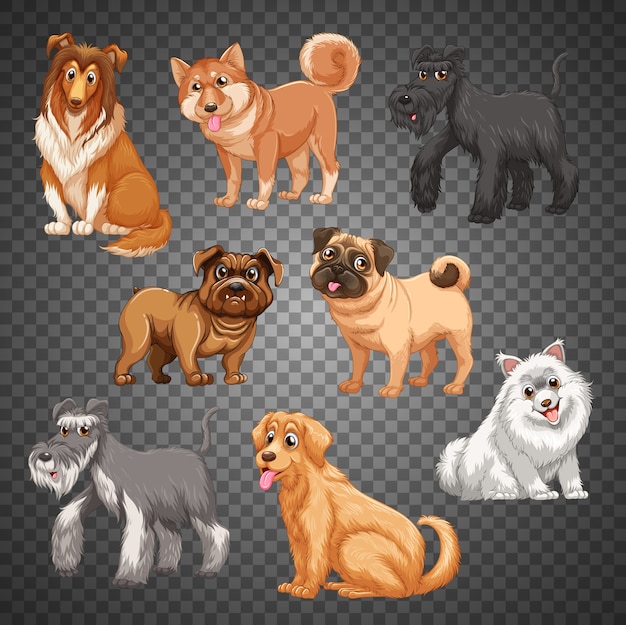 Vector set of different dogs isolated