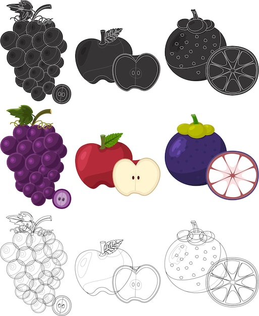 Vector a set of different fruits and berries.