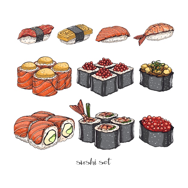 Set di diversi tipi di deliziosi panini e sushi. illustrazione disegnata a mano