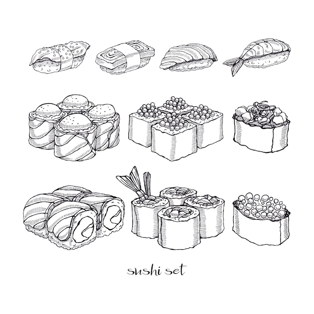 Set of different kinds of delicious rolls and sushi