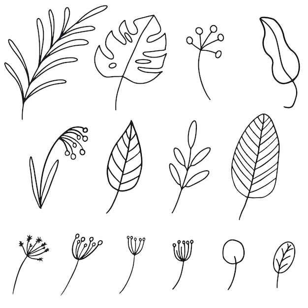 Set di foglie diverse in stile doodle disegnato a mano illustrazione di linea vettoriale autunnale