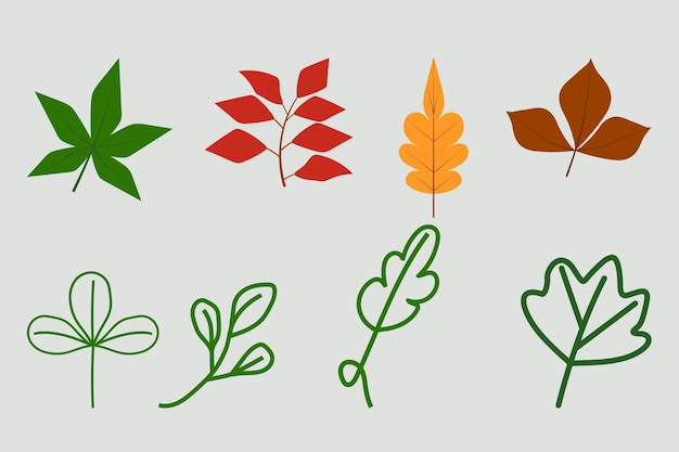 Vettore un insieme di foglie diverse con la parola autunno su di esse.