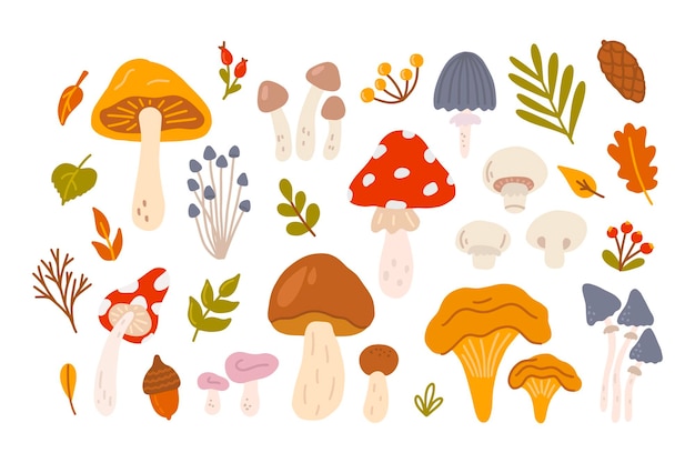 Set of different mushrooms with berries and leaves of trees Vector flat illustration in hand drawn