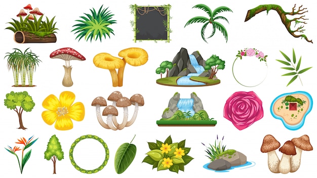 Set of different nature objects