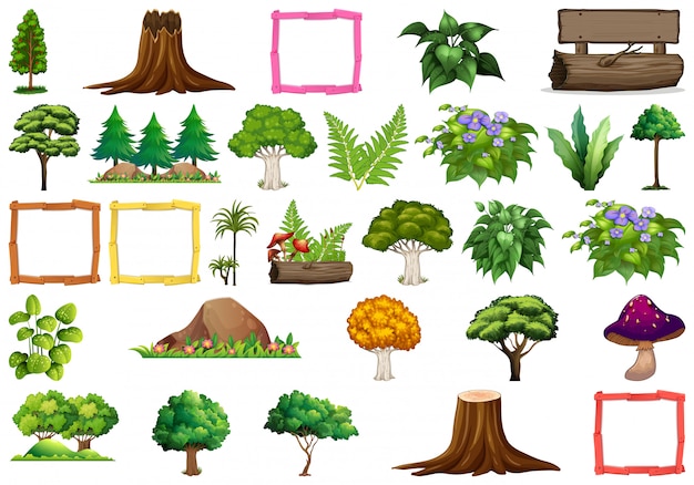 Vector set of different nature plants, trees and objects