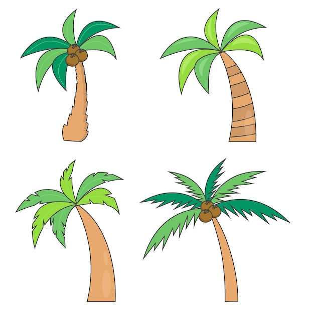 Set of different palm trees with coconuts Vector illustration Isolated on white background