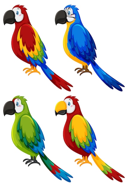 Set di diversi uccelli pappagallo in stile cartone animato