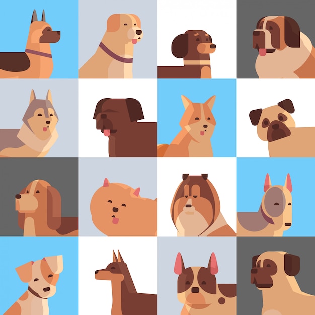 Set different purebred dogs furry human friends home pets collection concept cartoon animals set portrait