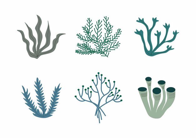 Vector a set of different sea life icons.