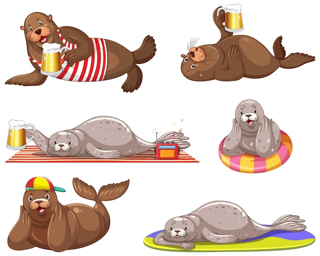 Set of different sea lions cartoon characters