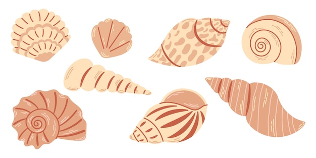 Set of different sea shells in monochrome beige colors isolated on white background