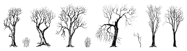 Vector set of different silhouettes of bare trees and bushes. autumn, winter garden. vector hand drawn illustration in engraving style. outline graphic elements isolated on white background.