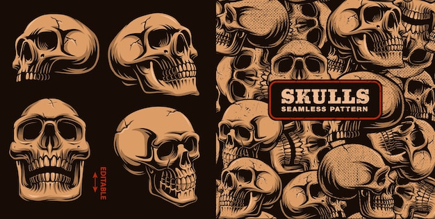 Set of different skulls with seamless pattern on dark background.