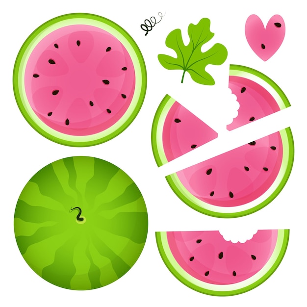 Set of different slices of ripe juicy watermelon