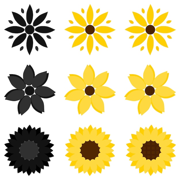 A set of different sunflowers on a white background