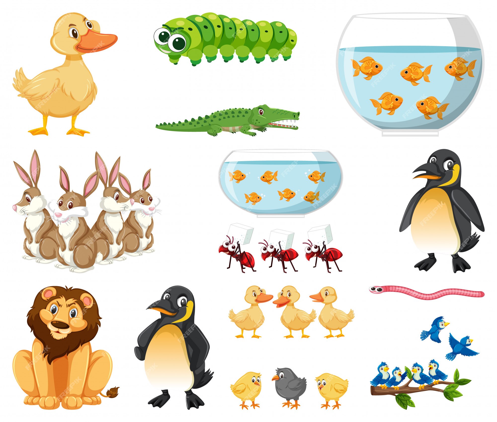 Premium Vector | Set of different types of animals on white background Premium Vector | Set of different types of animals on white background
