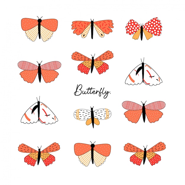 Set of different types of butterfly