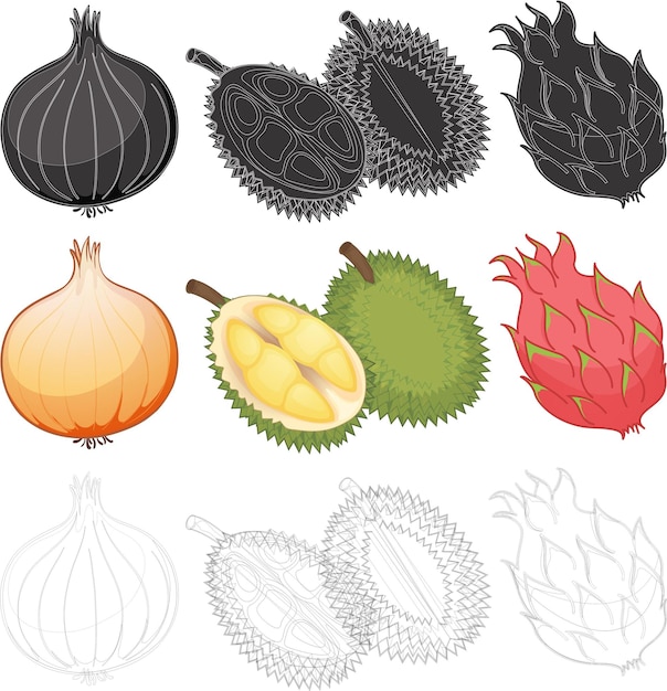 A set of different types of fruit including durian, durian, and durian.