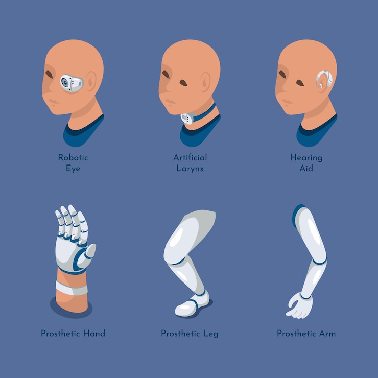 Vector a set of different types of human and human anatomy