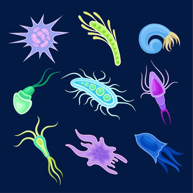 Set of different types of plankton.