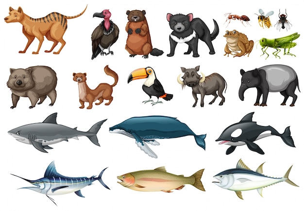 Vector set of different types of wild animals illustration
