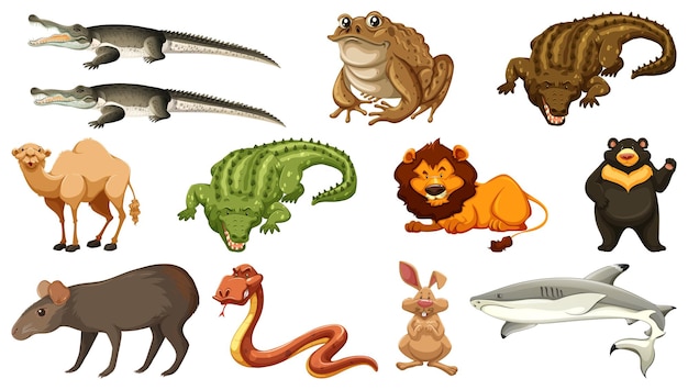 Set of different wild animals cartoon characters