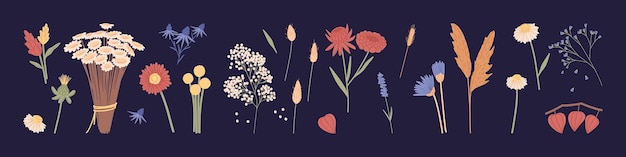 Set of different wild and garden flower plants Floral bundle of wildflowers Botanical floristic design elements Collection of meadow and field flora Colored flat vector illustration of herbs