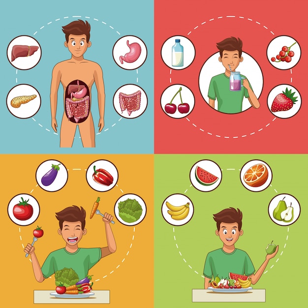 Набор комплектов карточек системы пищеварения