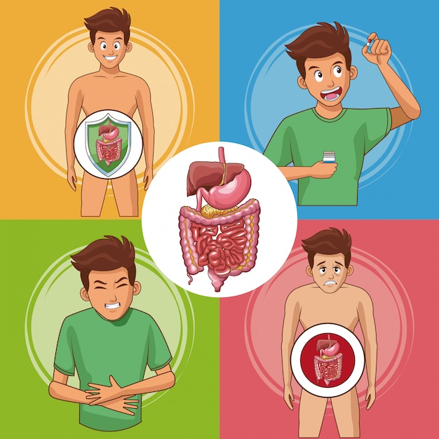 Set di raccolta di carte del sistema digestivo