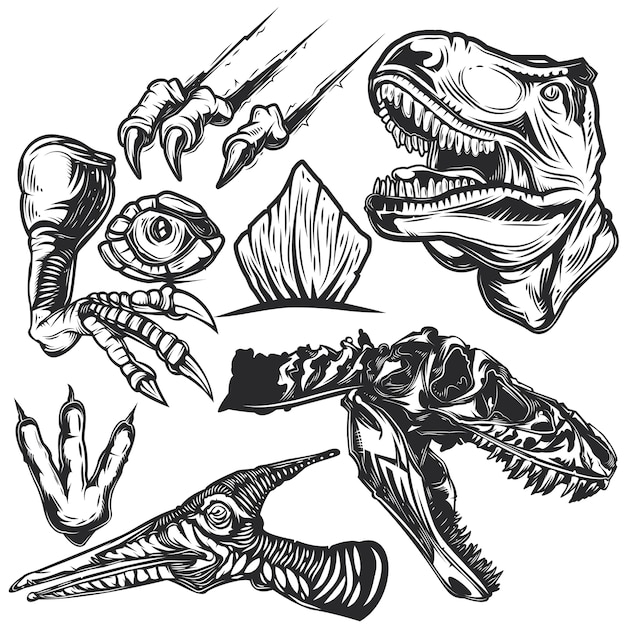 Dino Skull Vector Art Icons and Graphics for Free Download