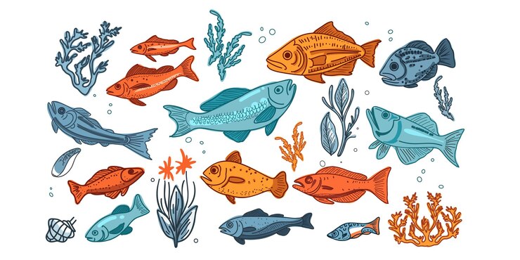 Vector set of diverse marine and ocean underwater animals shells algae aquatic animals