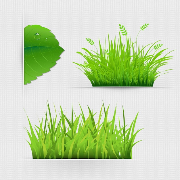 Vector set of dividers with grass with gradient mesh