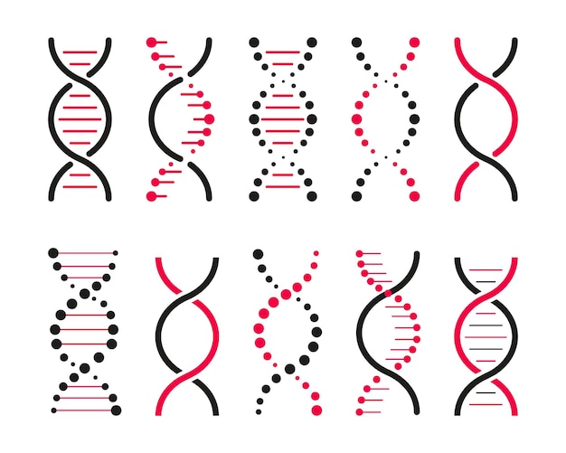 Vettore set di icone del dna modello di gene di vita bio codice genetica molecola simboli medici struttura icona cromosoma molecola insieme vettoriale di elementi dna