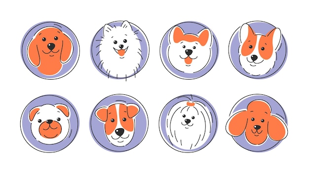 Vector set of dog faces of different breeds corgi akita spitz dachshund poodle terrier pug