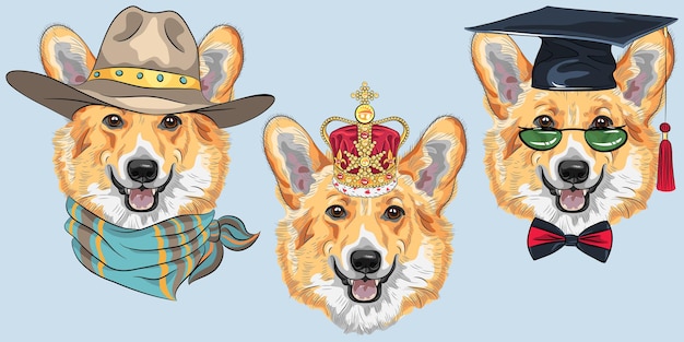 Set dog Pembroke Welsh corgi