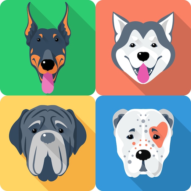 Vector set of dogs central asian shepherd, doberman, alaskan malamute and mastino breed icon flat head design