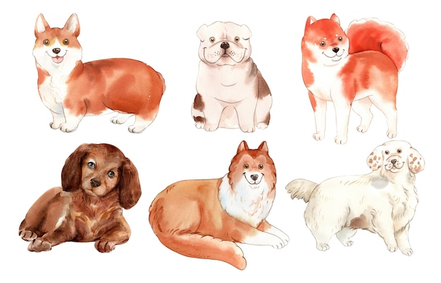 Set dogs for design watercolor painting