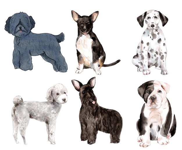 Набор собак для дизайнерской акварельной живописи