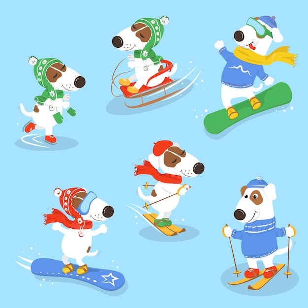 Set of dogs and winter sports