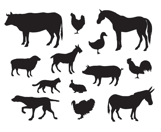 Set of domestic animals silhouettes isolated on white background