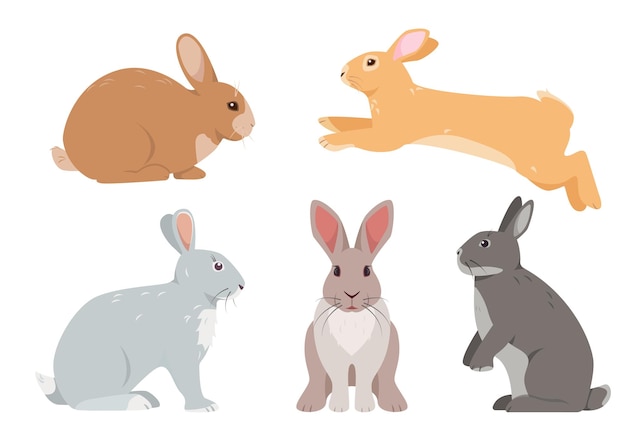 Set of domestic rabbits or gray hares in different poses Farm or wild animals or pets icons