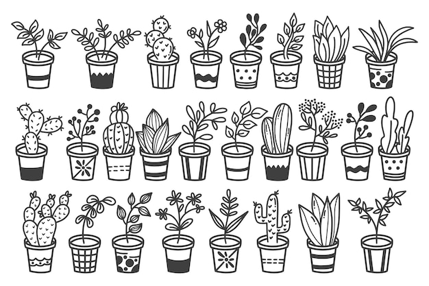 Set of doodle art hand drawn plants in pots