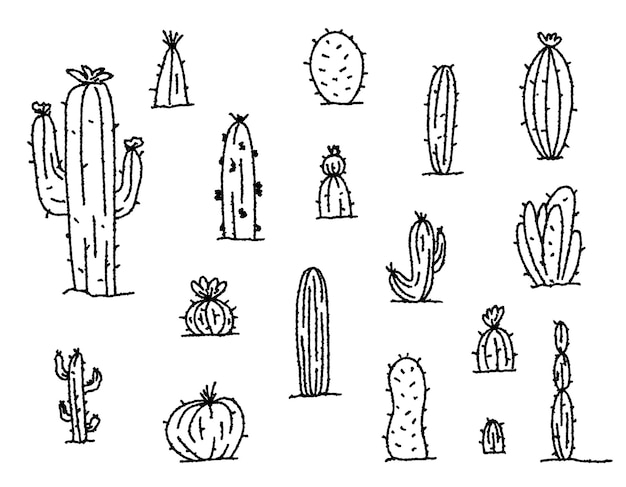 Vector set of doodle cacti on a transparent background line of exotic plants doodle sketch