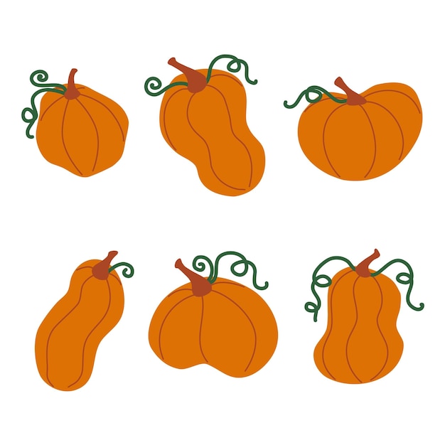 Set doodle elements orange pumpkins